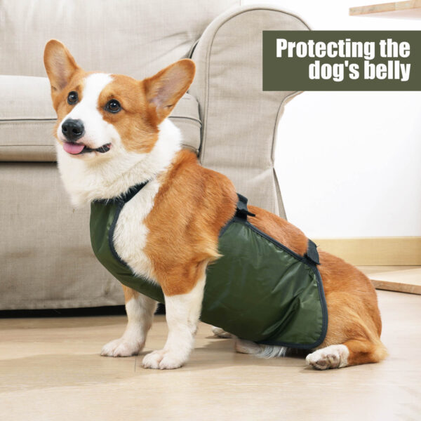 VD53 Bellyband for Medium and Large Dogs Pet - Image 3