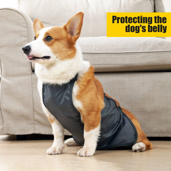 VD53 Bellyband for Medium and Large Dogs Pet - Image 4