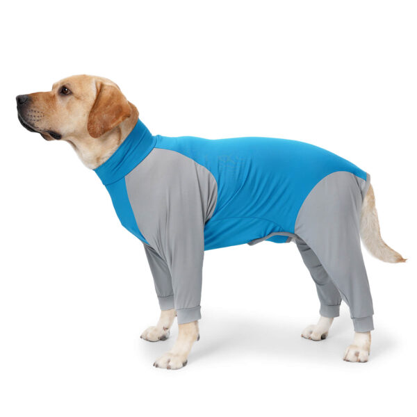 VD55 Post-operative Clothing for dogs, Four-leg Color Combination - Image 2