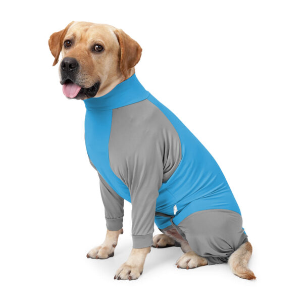 VD55 Post-operative Clothing for dogs, Four-leg Color Combination