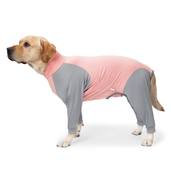 VD55 Post-operative Clothing for dogs, Four-leg Color Combination - Image 4