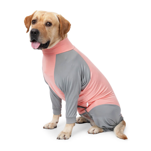 VD55 Post-operative Clothing for dogs, Four-leg Color Combination - Image 3