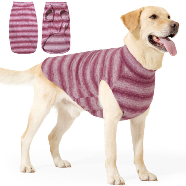 Large dog wearing a burgundy knit sweater for winter warmth