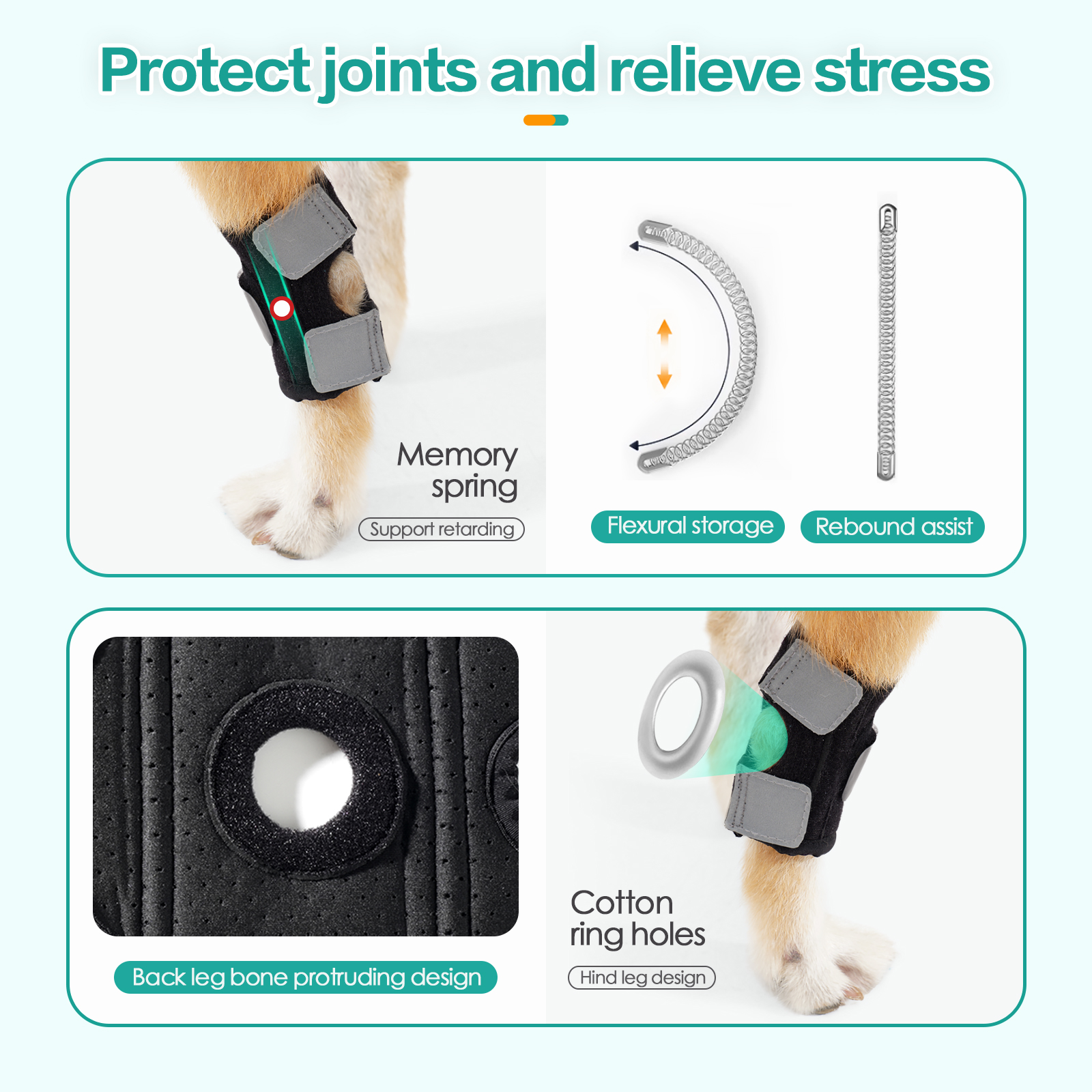 Canine hind leg knee pads with bionic support for joint protection and sports recovery