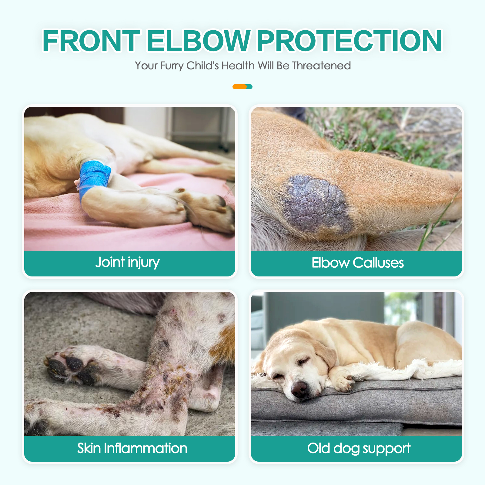 Canine hind leg knee pads with bionic support for joint protection and sports recovery