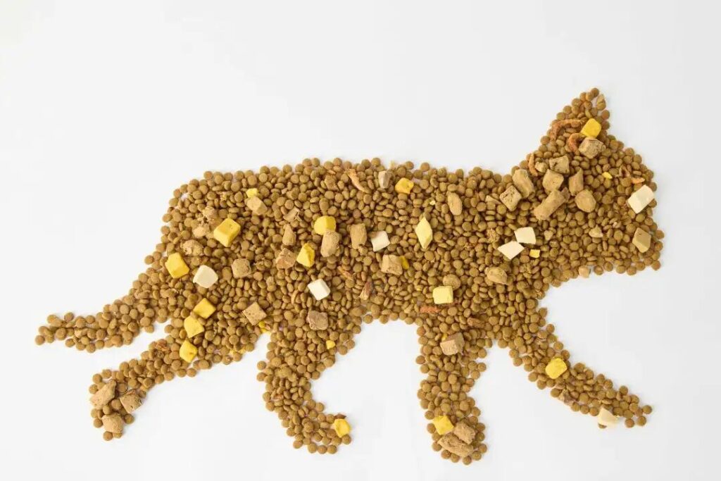 Cb5dfd5c73ef00d2dff91b06fcfd51a1