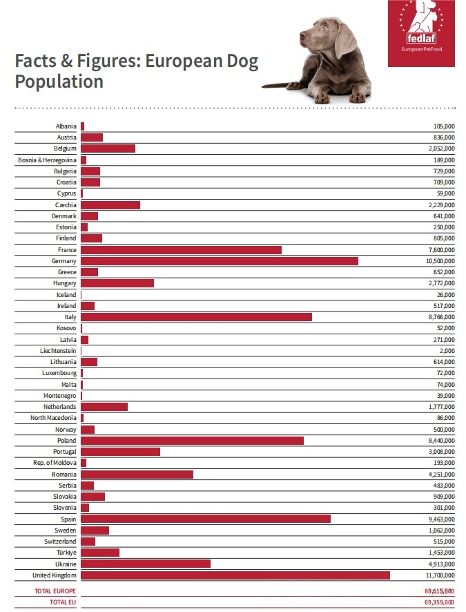Dog Population