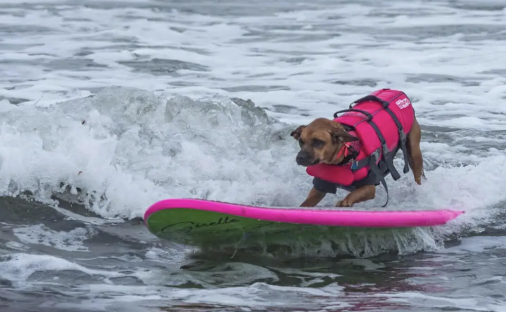 9d52b952368418702caba313c760d19a