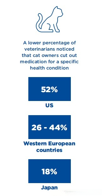 Global Pet Cat Population Surpasses 370 Million – In Depth National Data Analysis (1)
