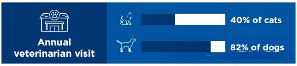 Global Pet Cat Population Surpasses 370 Million – In Depth National Data Analysis (11)