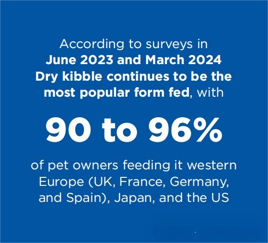 Global Pet Cat Population Surpasses 370 Million – In Depth National Data Analysis (12)