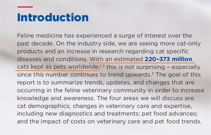 Global Pet Cat Population Surpasses 370 Million – In Depth National Data Analysis (2)