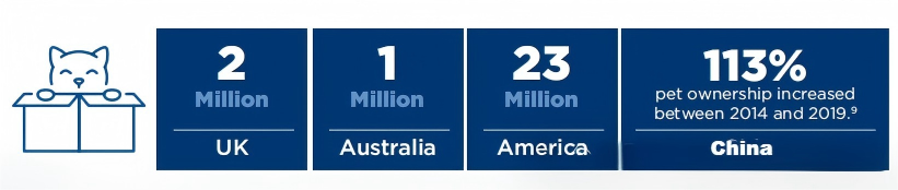Global Pet Cat Population Surpasses 370 Million – In Depth National Data Analysis (3)