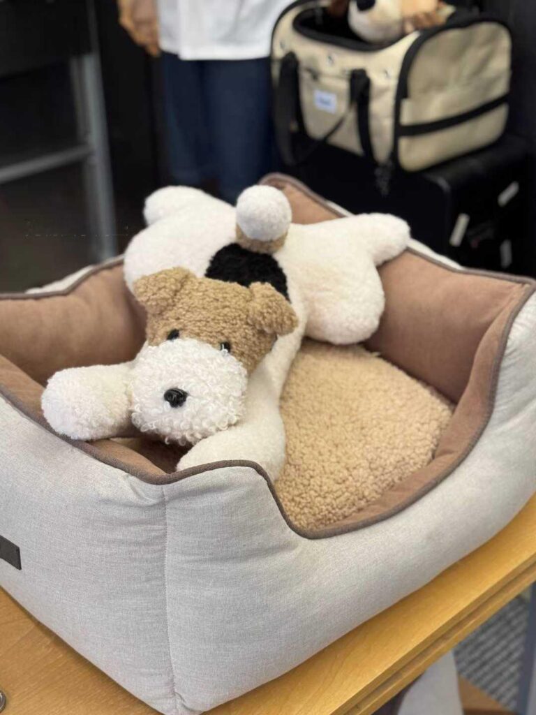 New Pet Product Display Is Finished! (4)