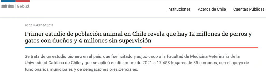 Pet Shops Surge to Nearly 3,400: This South American Country’s Pet Economy Booms