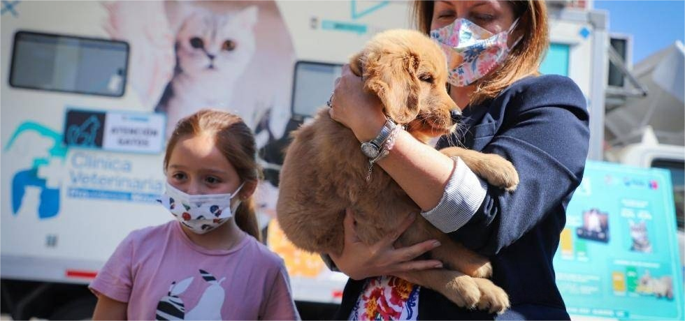 Pet Shops Surge to Nearly 3,400: This South American Country’s Pet Economy Booms