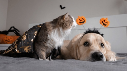 微信图片 2025 11 02 171425 696