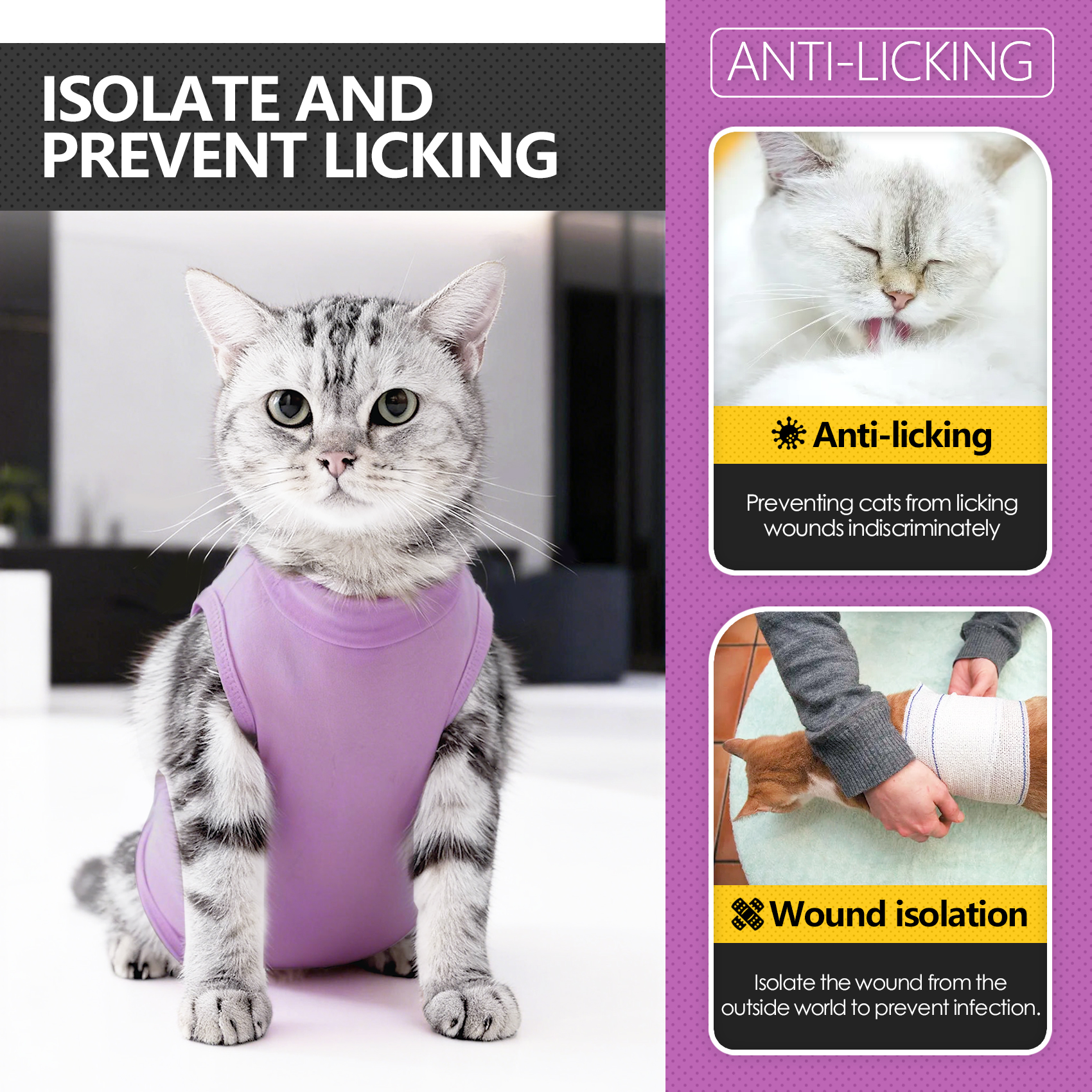 Cat wearing a purple post-surgery recovery suit with horizontal back closure