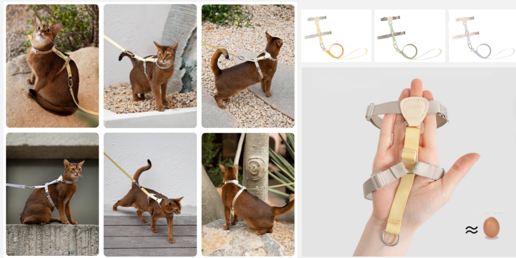 Pet-Harness-Leash-Collar