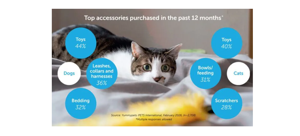 Top accessories purchased in the past 12 months