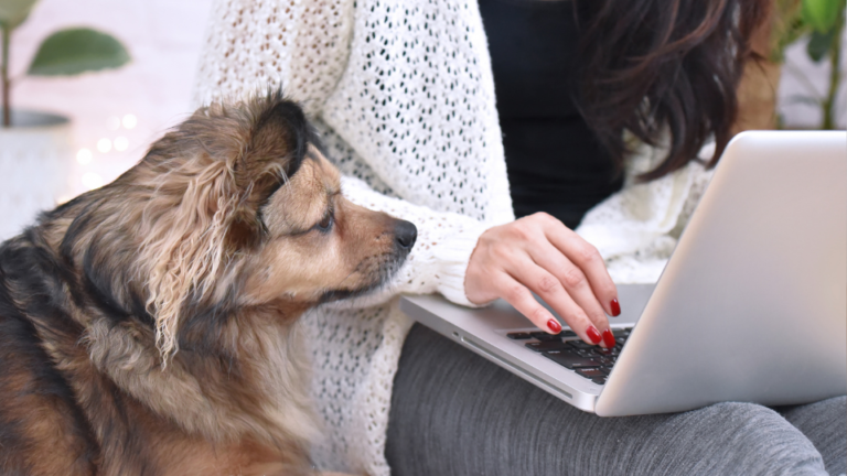 Latin American Pet Food Market Surpasses $8.82 Billion