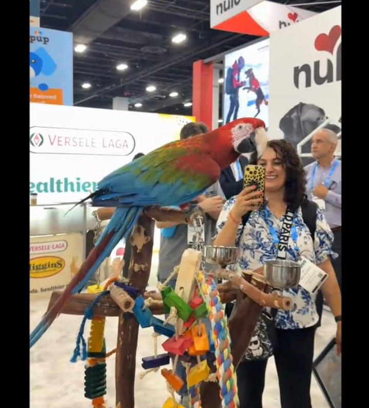 From Basic Needs To Well Being New Cycle Of The Pet Economy Via North American B2b Trade Shows