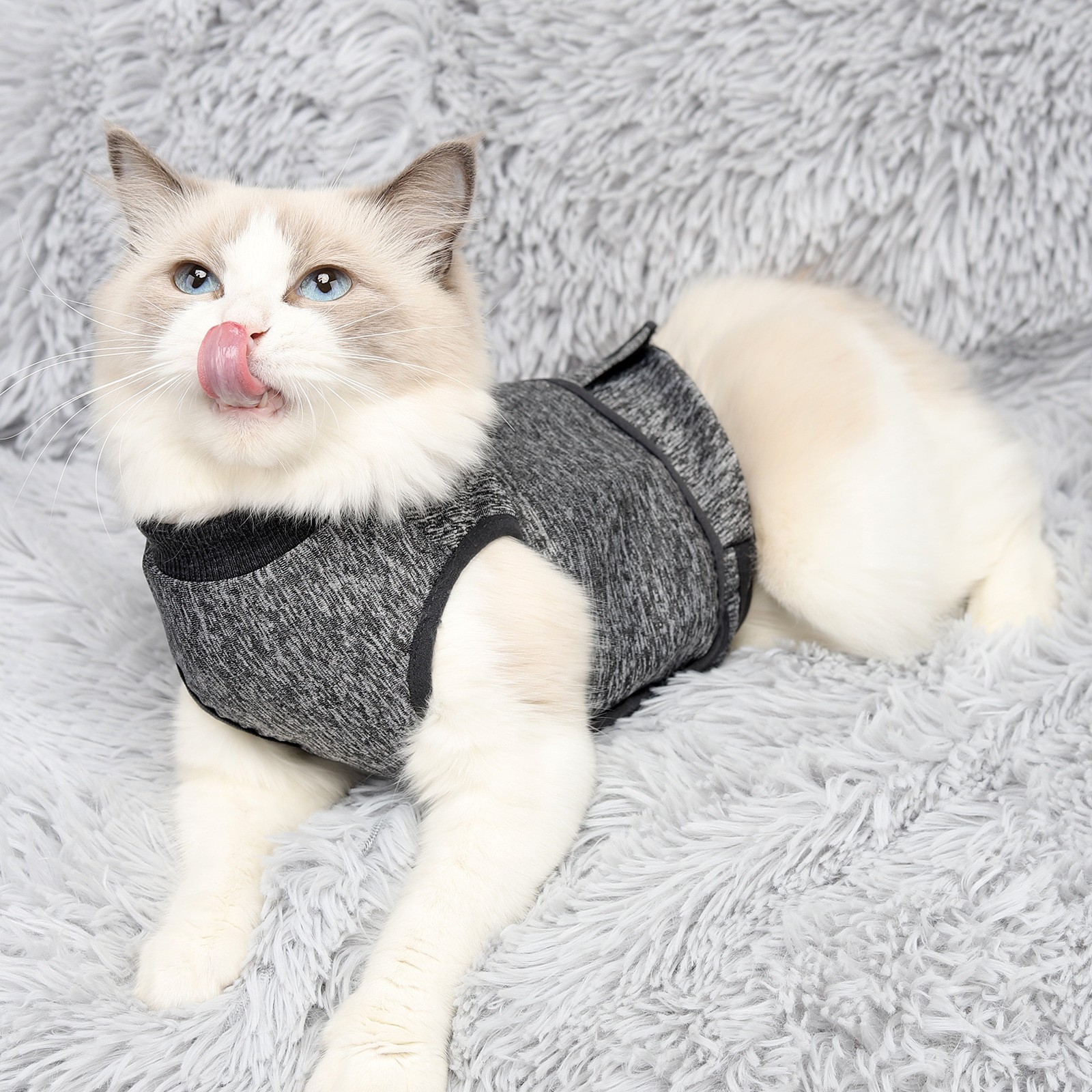 VC17 cat wrap vest worn in Heather Gray