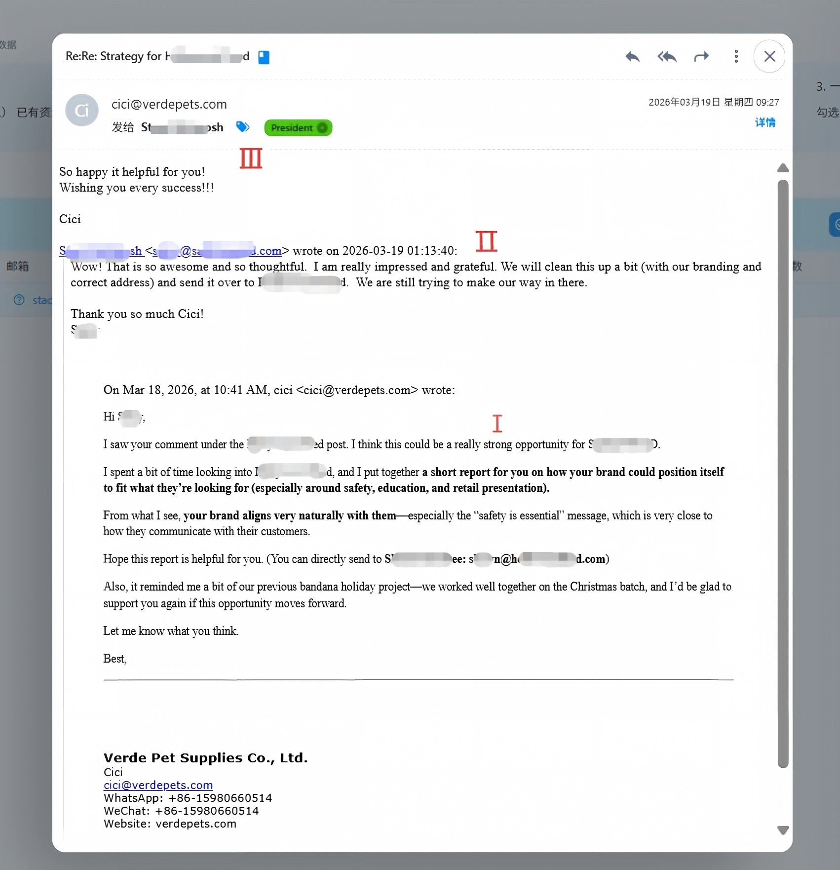 Anonymized example of retail presentation support for a pet brand customer