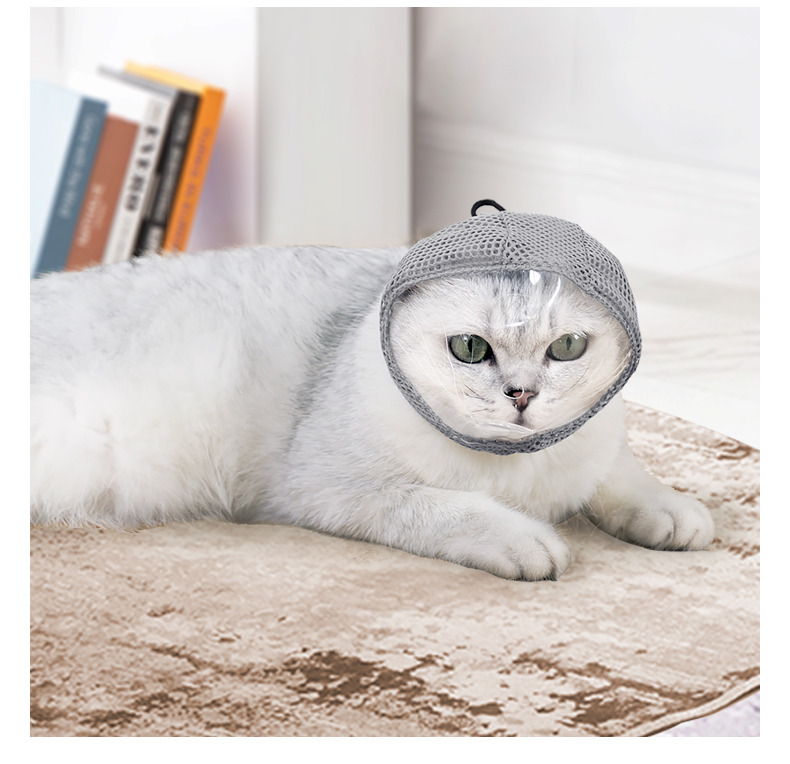 VC45 grooming hood worn by a resting cat