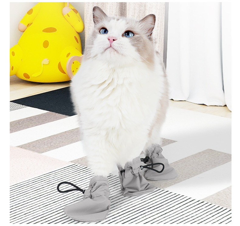 VC46 cat paw covers worn by a standing cat, all four paws wrapped