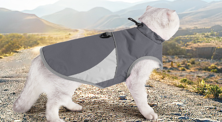 VC47 grey cat jacket worn outdoors by a standing cat