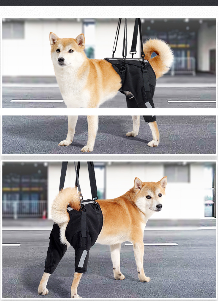 VD103 black dog hind-leg assist harness photographed on a model dog, front and rear views
