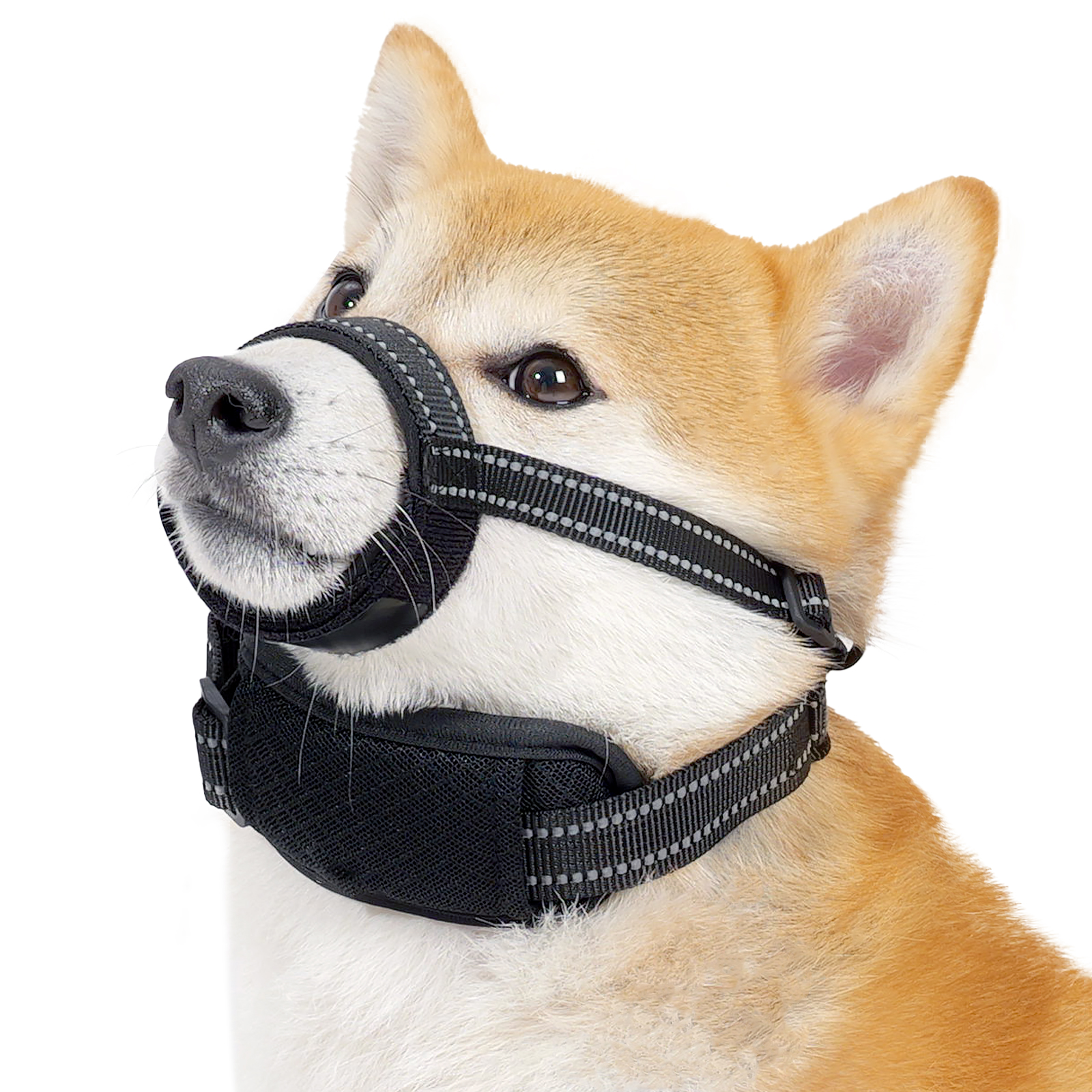 VD116 dog muzzle worn on a dog, showing the hook-and-loop mouth wrap, the padded neck panel and the reflective webbing