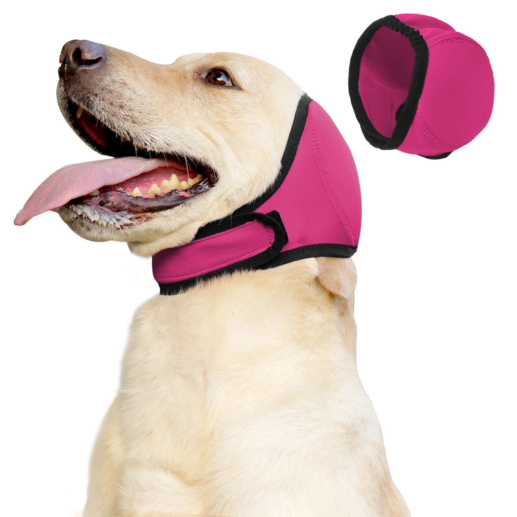 VD121 dog ear muffs in rose red worn on a labrador, with a flat view of the cover beside it